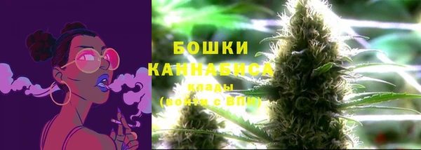 ПСИЛОЦИБИНОВЫЕ ГРИБЫ Покровск