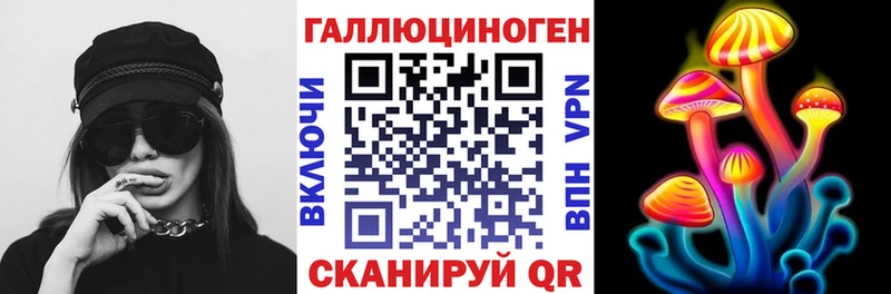 закладки  Зеленогорск  Псилоцибиновые грибы Magic Shrooms 