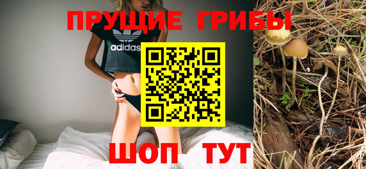 Галлюциногенные грибы прущие грибы Зеленогорск