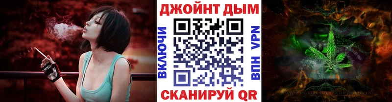 где купить наркоту  Зеленогорск  Конопля гибрид 